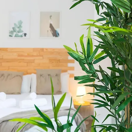 Vass Holidays Apartment
